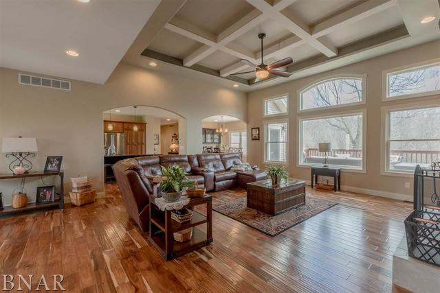 6286 Park Road Clinton, IL 61727 - Photo 9 of 45 a living room with furniture and wooden floor
