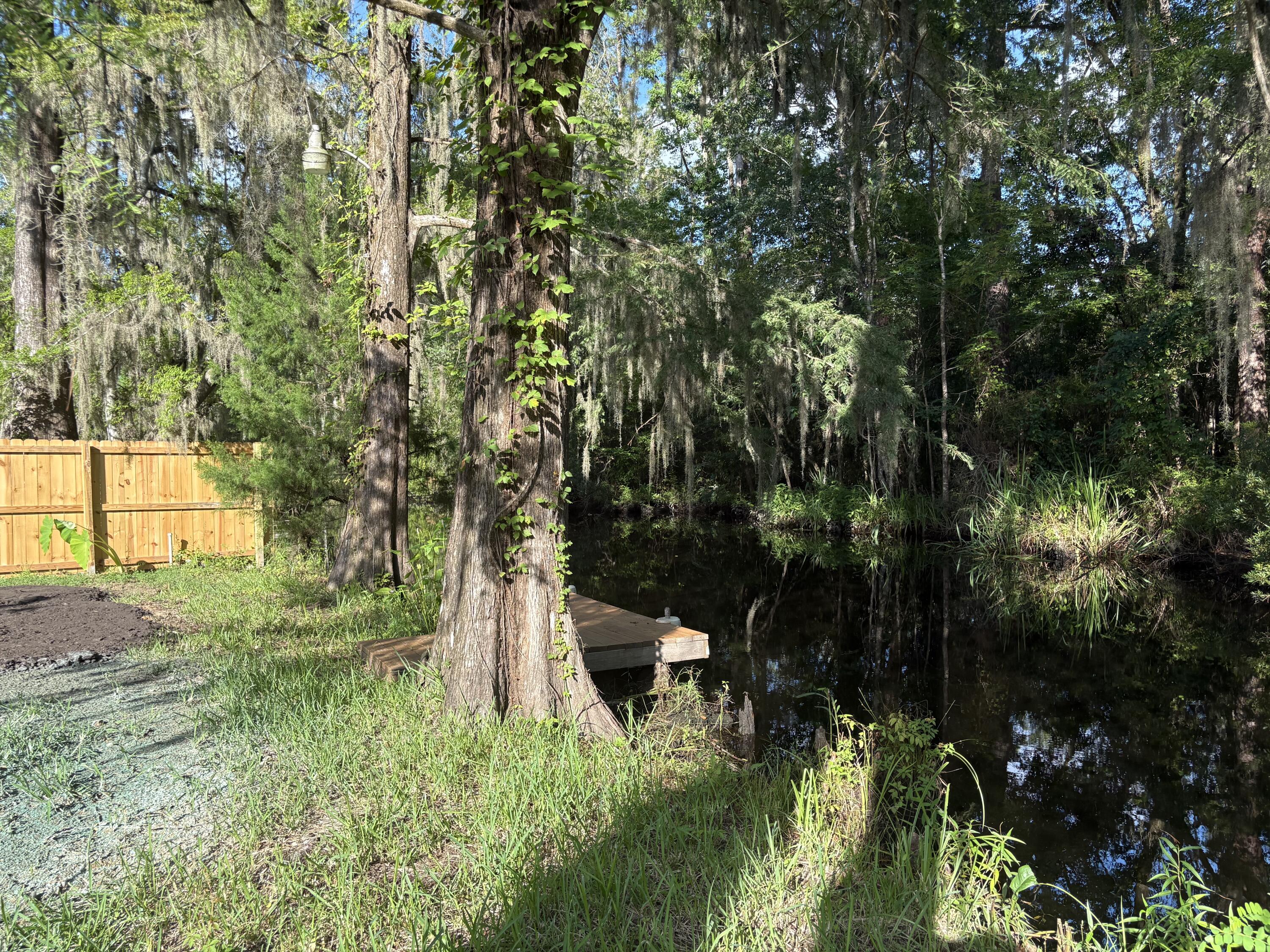 3323 Prices Bridge Lane Walterboro, SC 29488 - Photo 23 of 63 IMG_8075