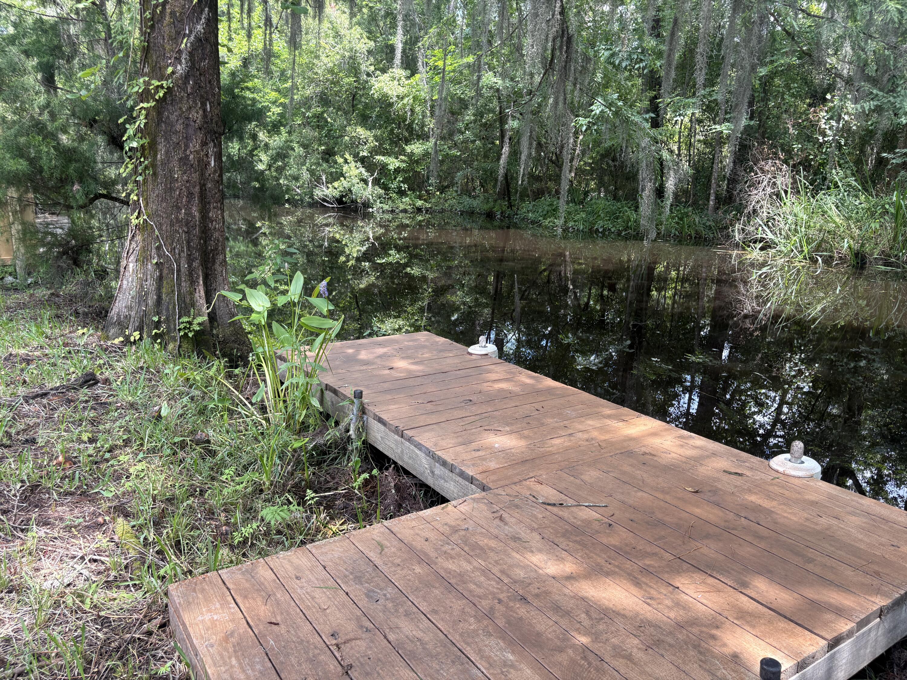 3323 Prices Bridge Lane Walterboro, SC 29488 - Photo 3 of 63 Dock