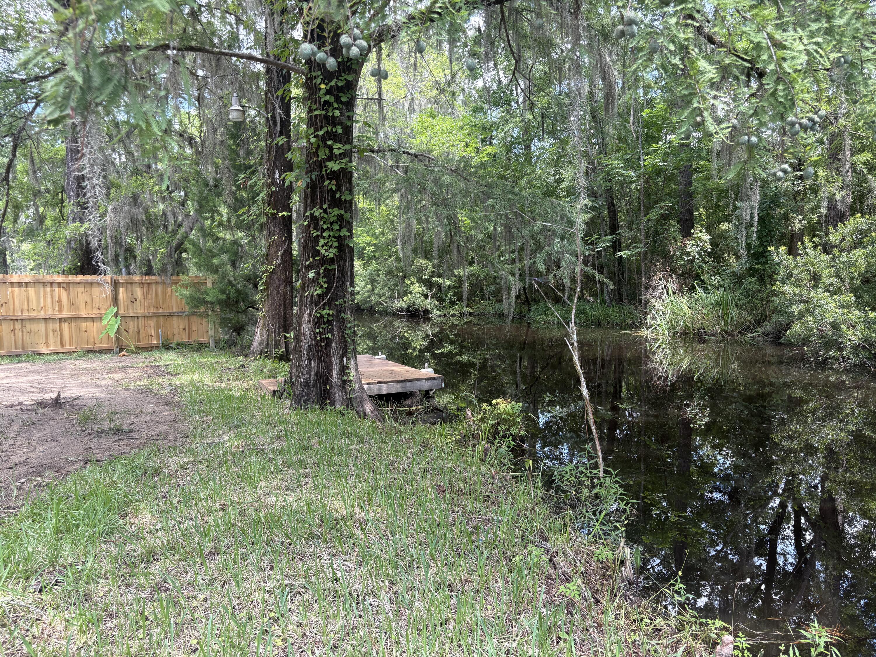3323 Prices Bridge Lane Walterboro, SC 29488 - Photo 34 of 63 Water view