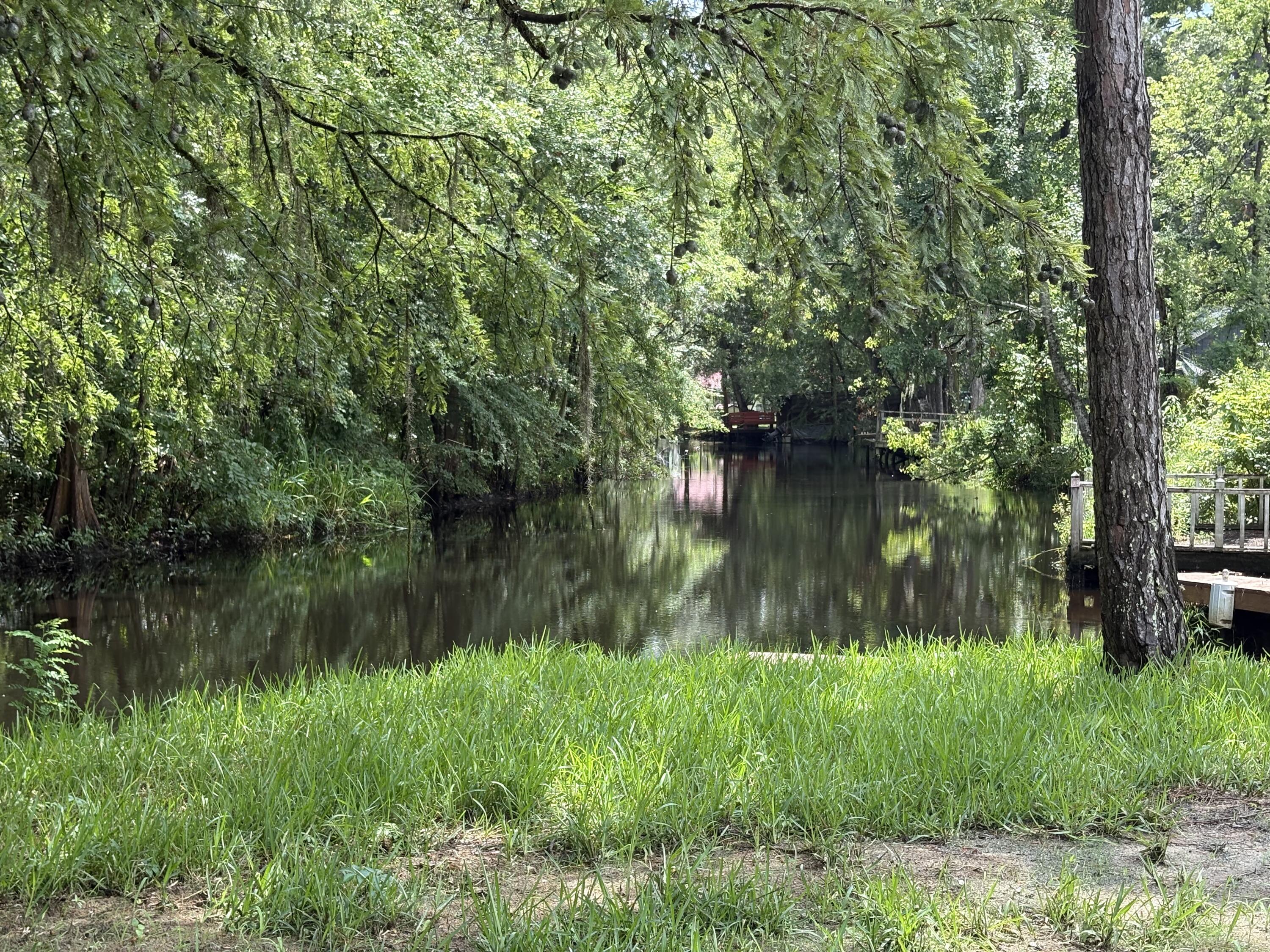3323 Prices Bridge Lane Walterboro, SC 29488 - Photo 46 of 63 N Water views