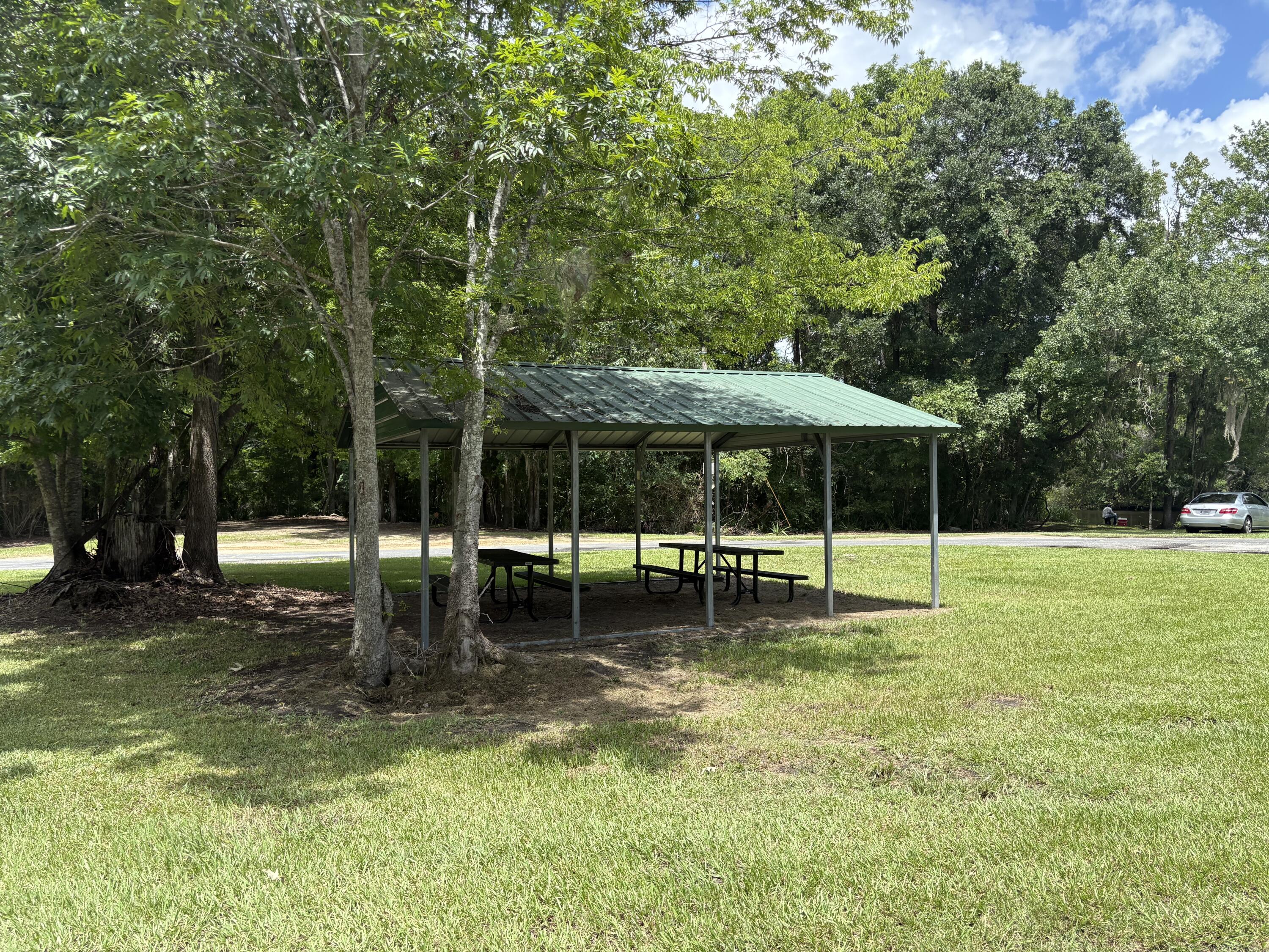 3323 Prices Bridge Lane Walterboro, SC 29488 - Photo 61 of 63 Public landing view2