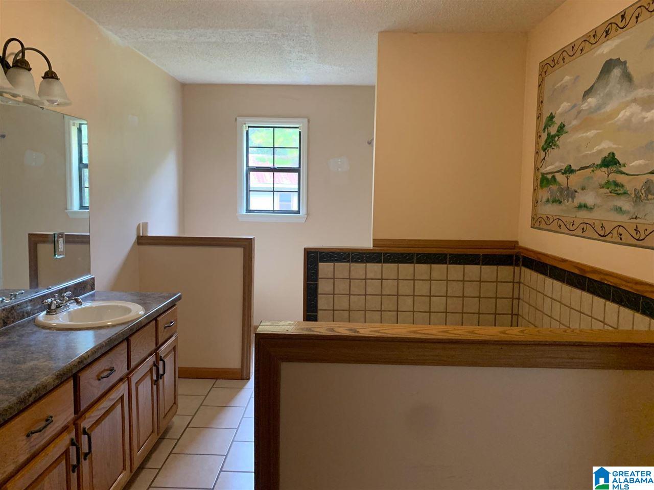 1010 Rochester Road Southeast Jacksonville, AL 36265 - Photo 20 of 36