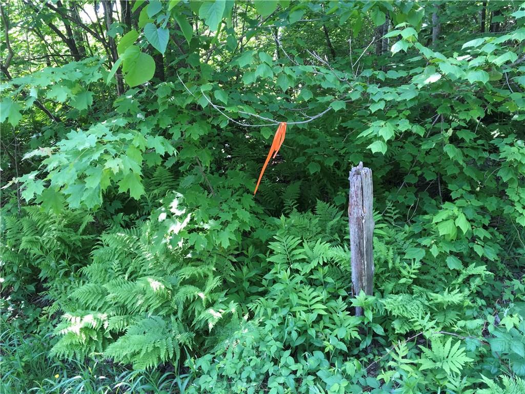 154 Stream Road Ripley, ME 04930 - Photo 10 of 15 Photo
