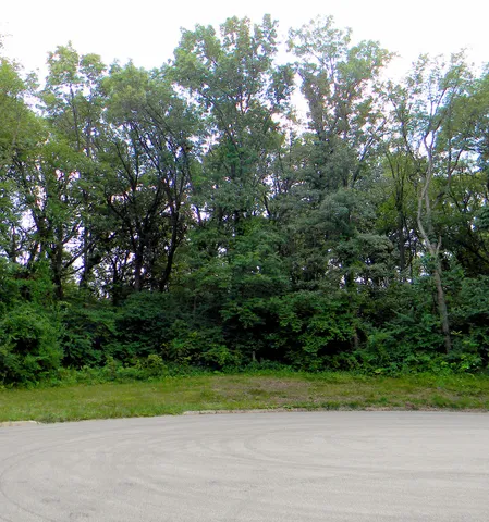 $38,700 | 7111 Forest Oak Drive, McHenry, IL 60050