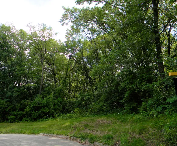 $38,700 | 7111 Forest Oak Drive, McHenry, IL 60050