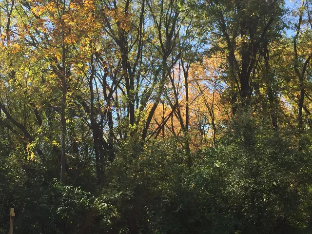 $38,700 | 7111 Forest Oak Drive, McHenry, IL 60050