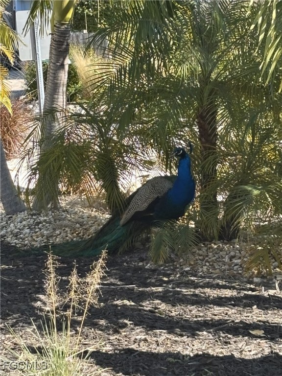 751 Fox Street Longboat Key, FL 34228 - Photo 45 of 49