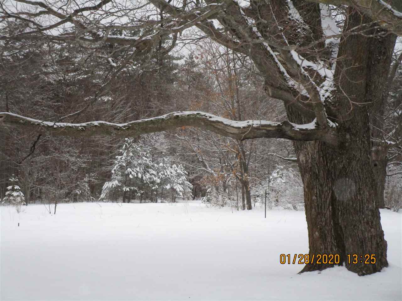 5291 Holly Road Northeast Kalkaska, MI 49646 - Photo 7 of 19 1872152-6.JPG