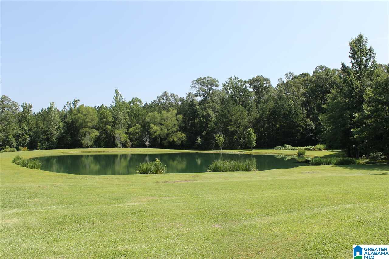 545 Lovejoy Road Ashville, AL 35953 - Photo 5 of 44