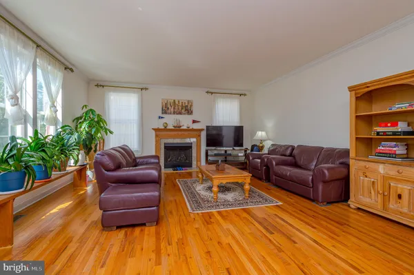 a living room with furniture a fireplace and a potted plant