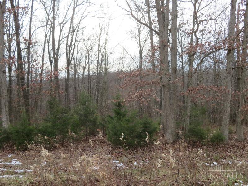 7730 Beavers Ridge Road Piketon, OH 45661 - Photo 15 of 15