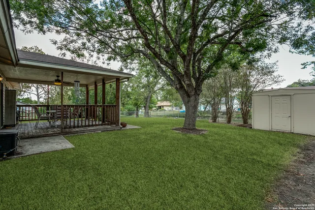 a view of a yard with a large tree