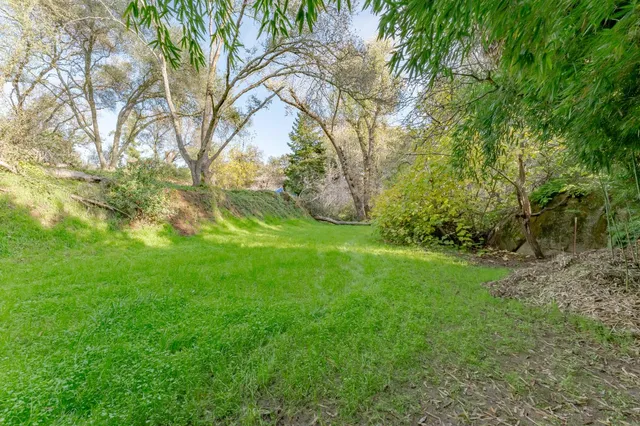 a view of a house with a yard and tree s