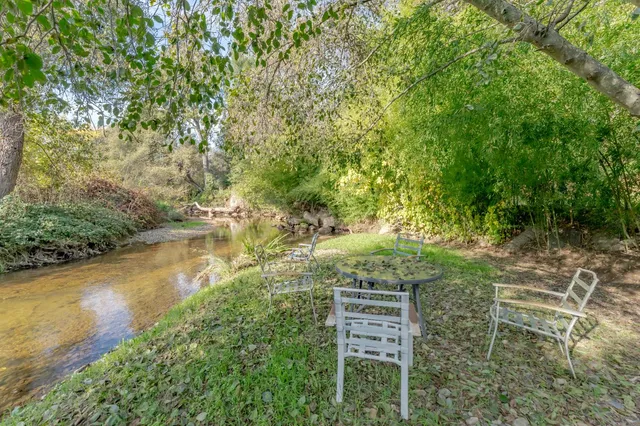 a view of a yard with plants and a bench