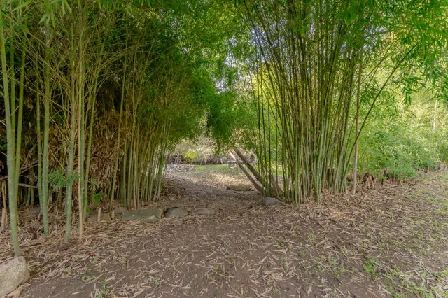a white toilet sitting next to a shower curtain