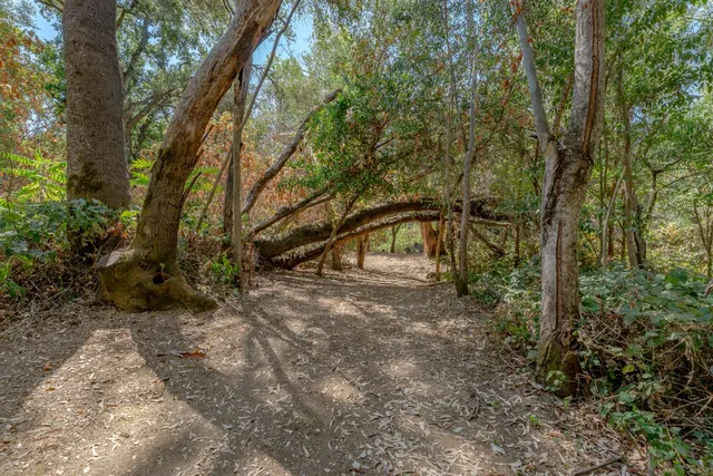 a view of a lake view with houses in back