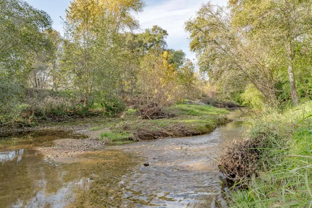 a front view of house with yard and green space