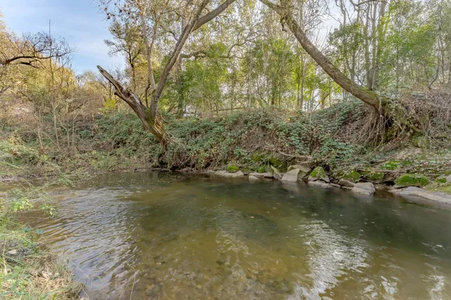 a view of a yard with a tree
