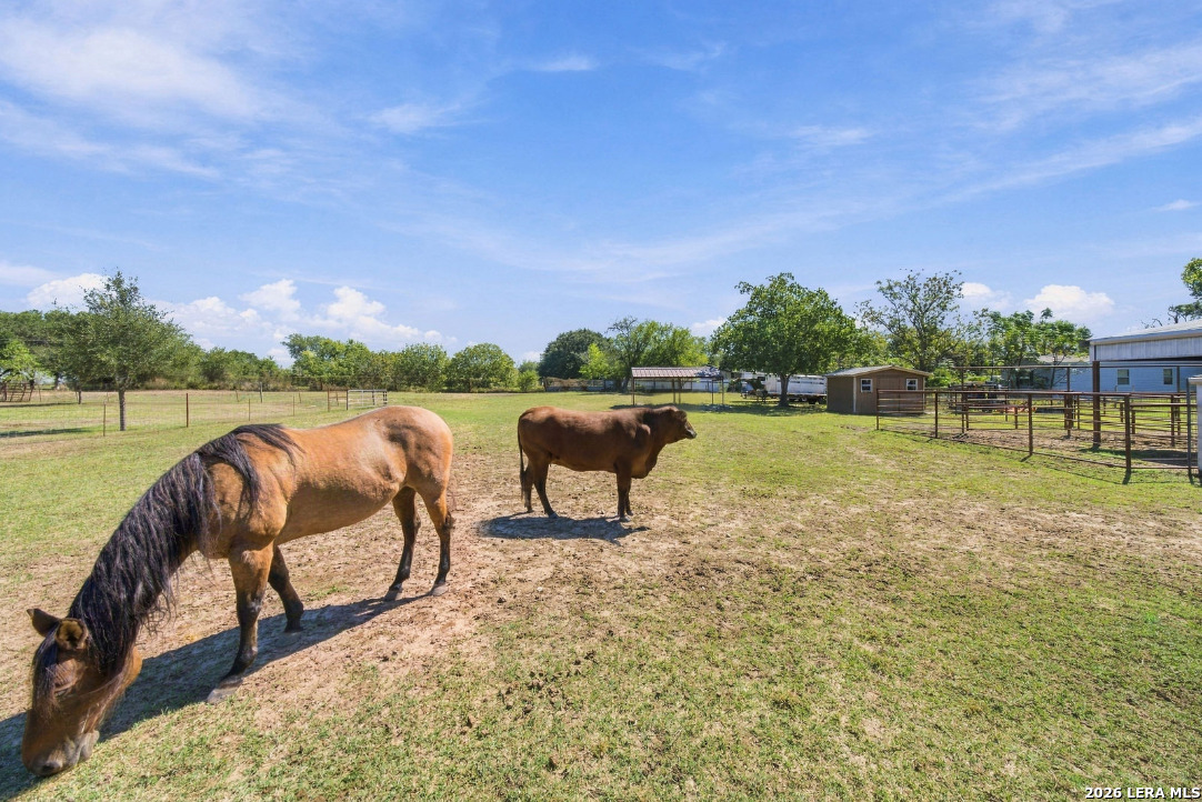 3690 Rakowitz Road Adkins, TX 78101 - Photo 13 of 36 Gallery Image 13