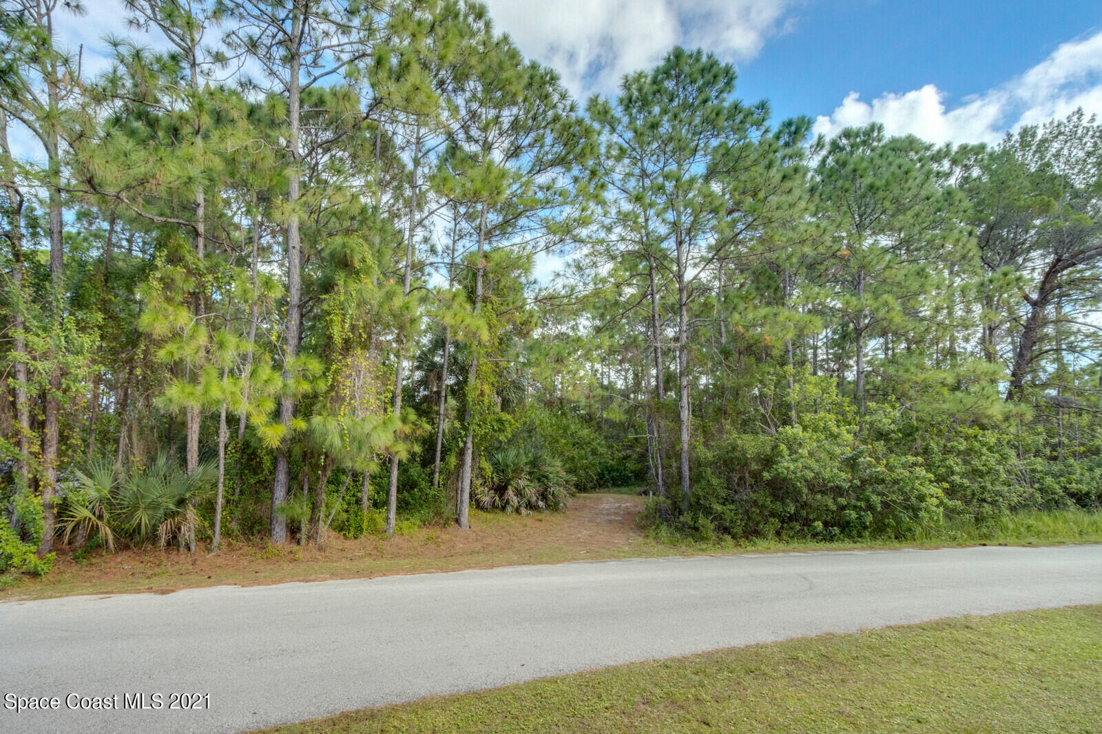 319 Gordon Road Northwest Palm Bay, FL 32907 - Photo 1 of 16 a view of a yard with plants and trees