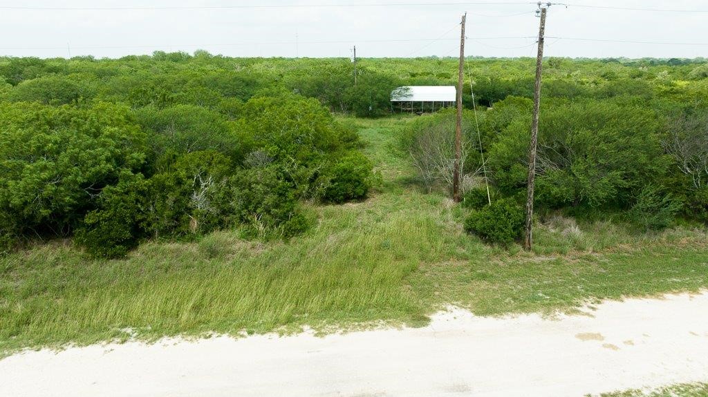 Tbd Pr 5015 Corrigan Road Skidmore, TX 78389 - Photo 2 of 21