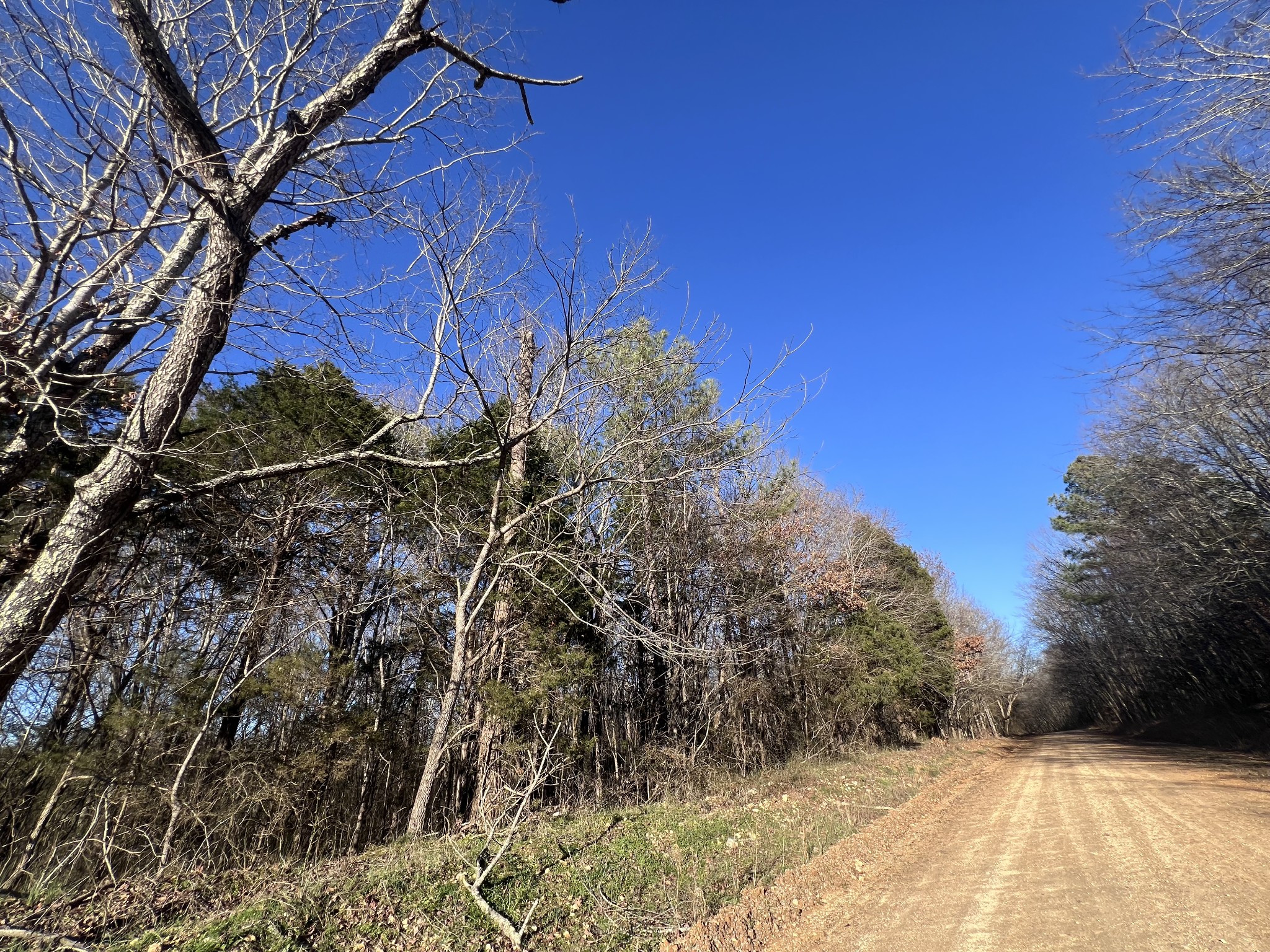 0 She Boss Road Duck River, TN 38454 - Photo 11 of 13
