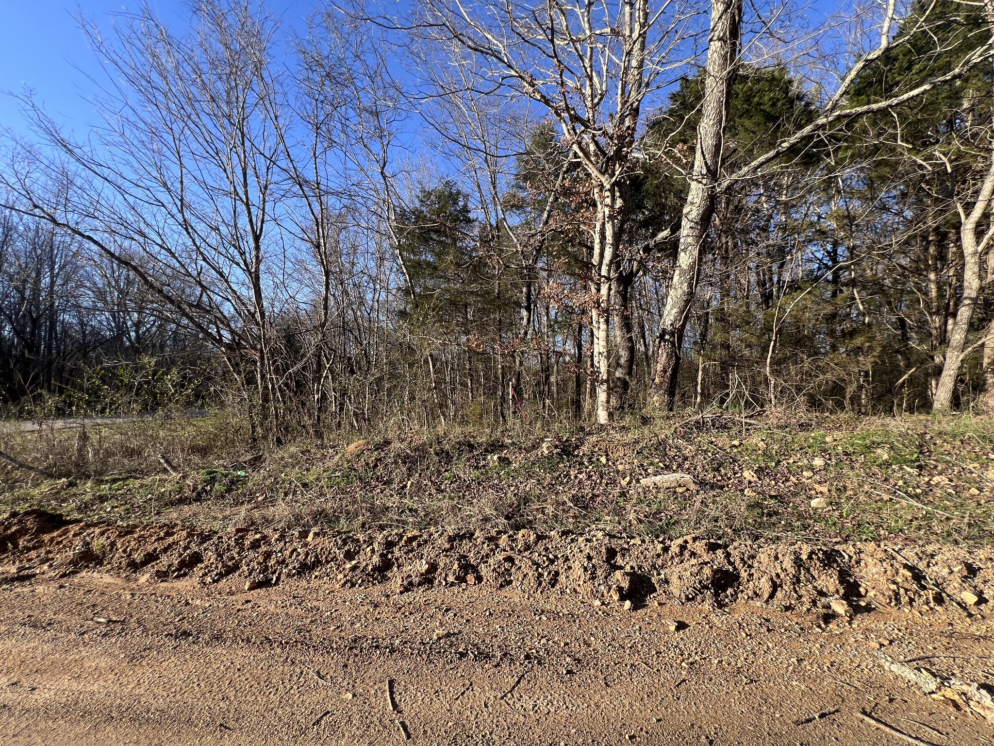 0 She Boss Road Duck River, TN 38454 - Photo 12 of 13