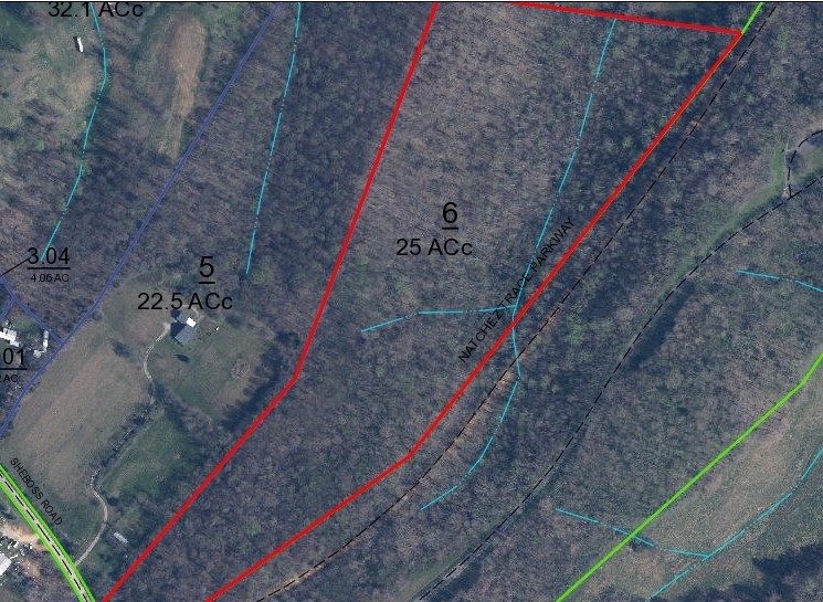 0 She Boss Road Duck River, TN 38454 - Photo 13 of 13