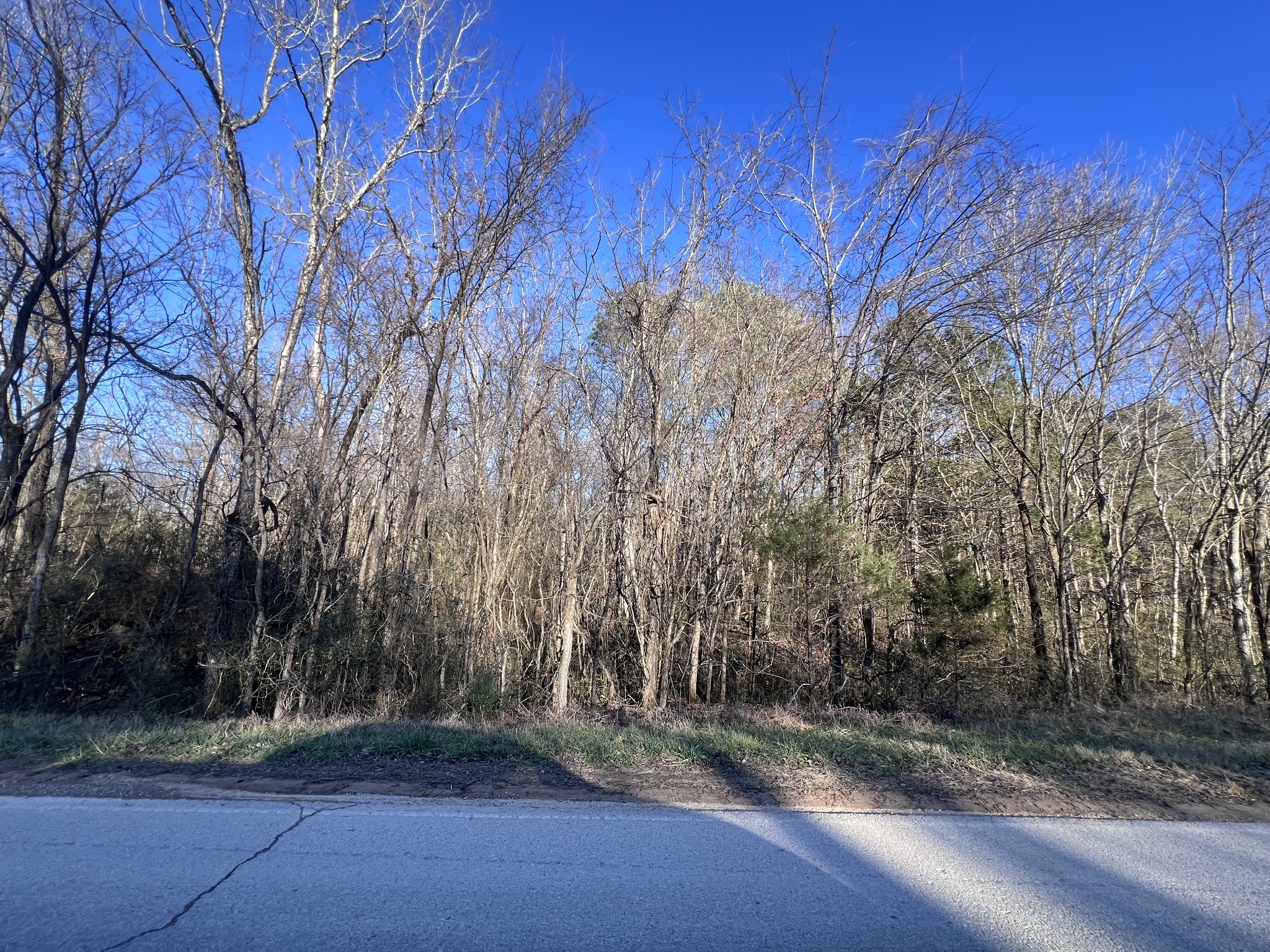 0 She Boss Road Duck River, TN 38454 - Photo 2 of 13