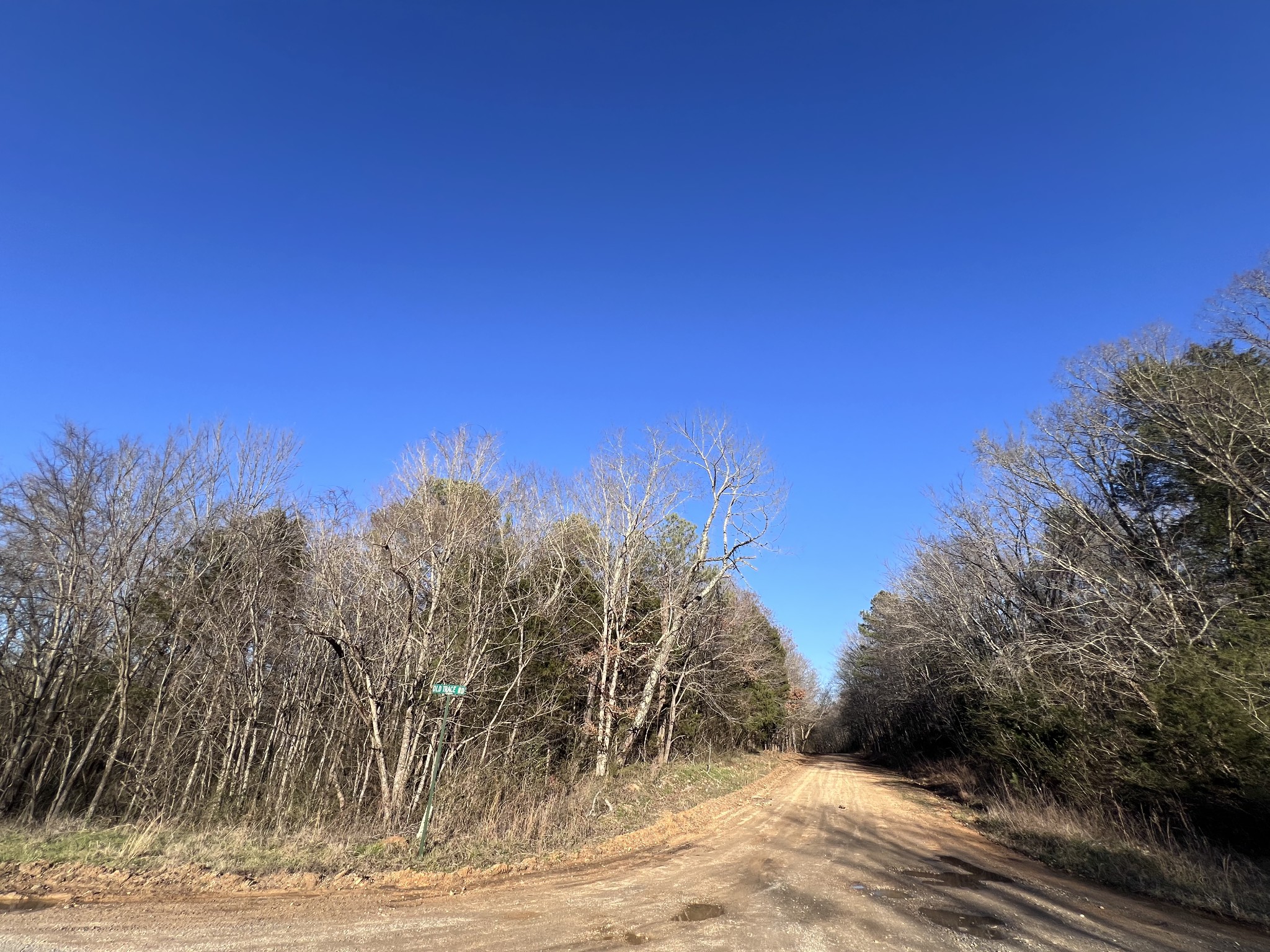 0 She Boss Road Duck River, TN 38454 - Photo 3 of 13