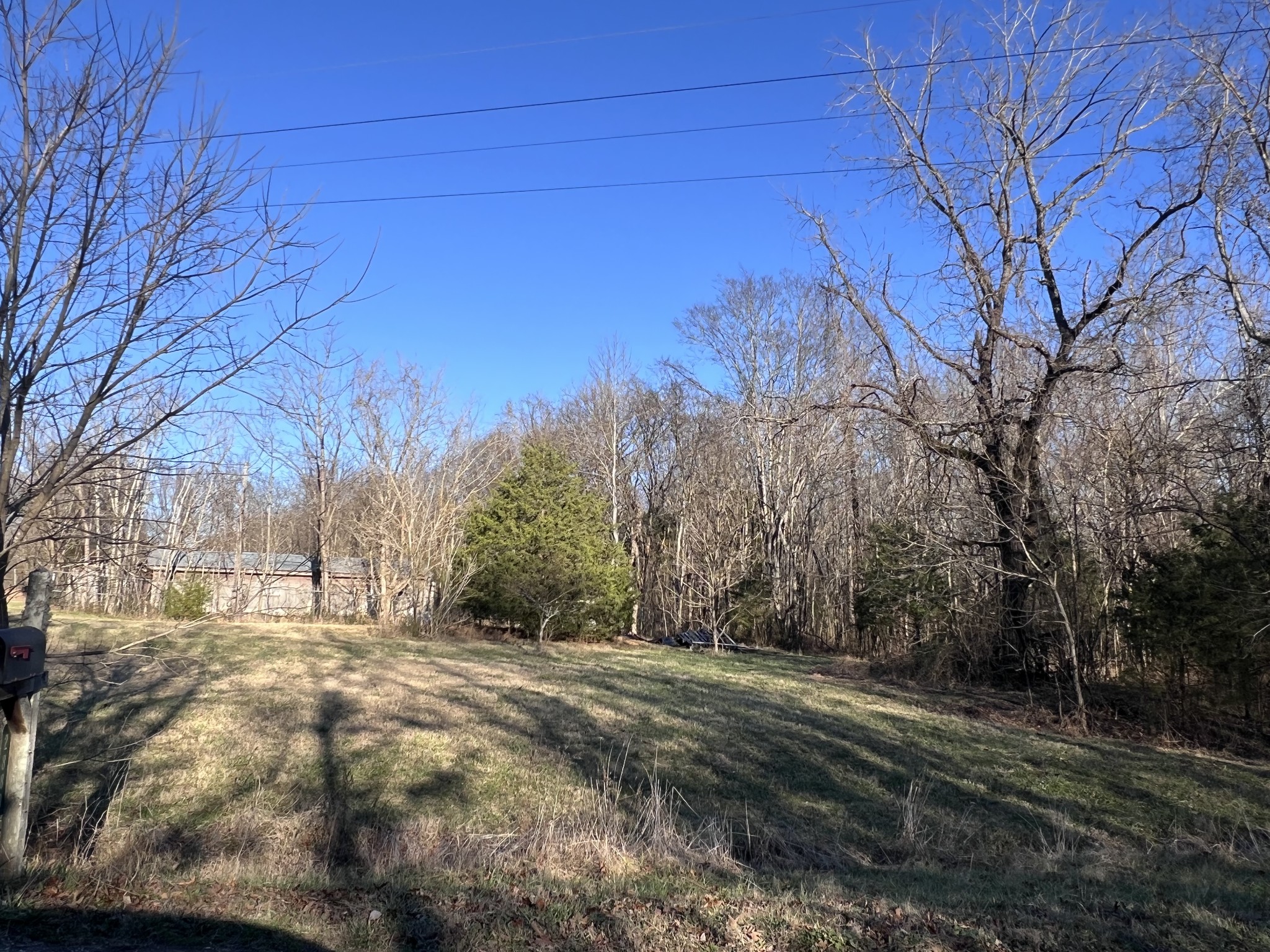 0 She Boss Road Duck River, TN 38454 - Photo 4 of 13