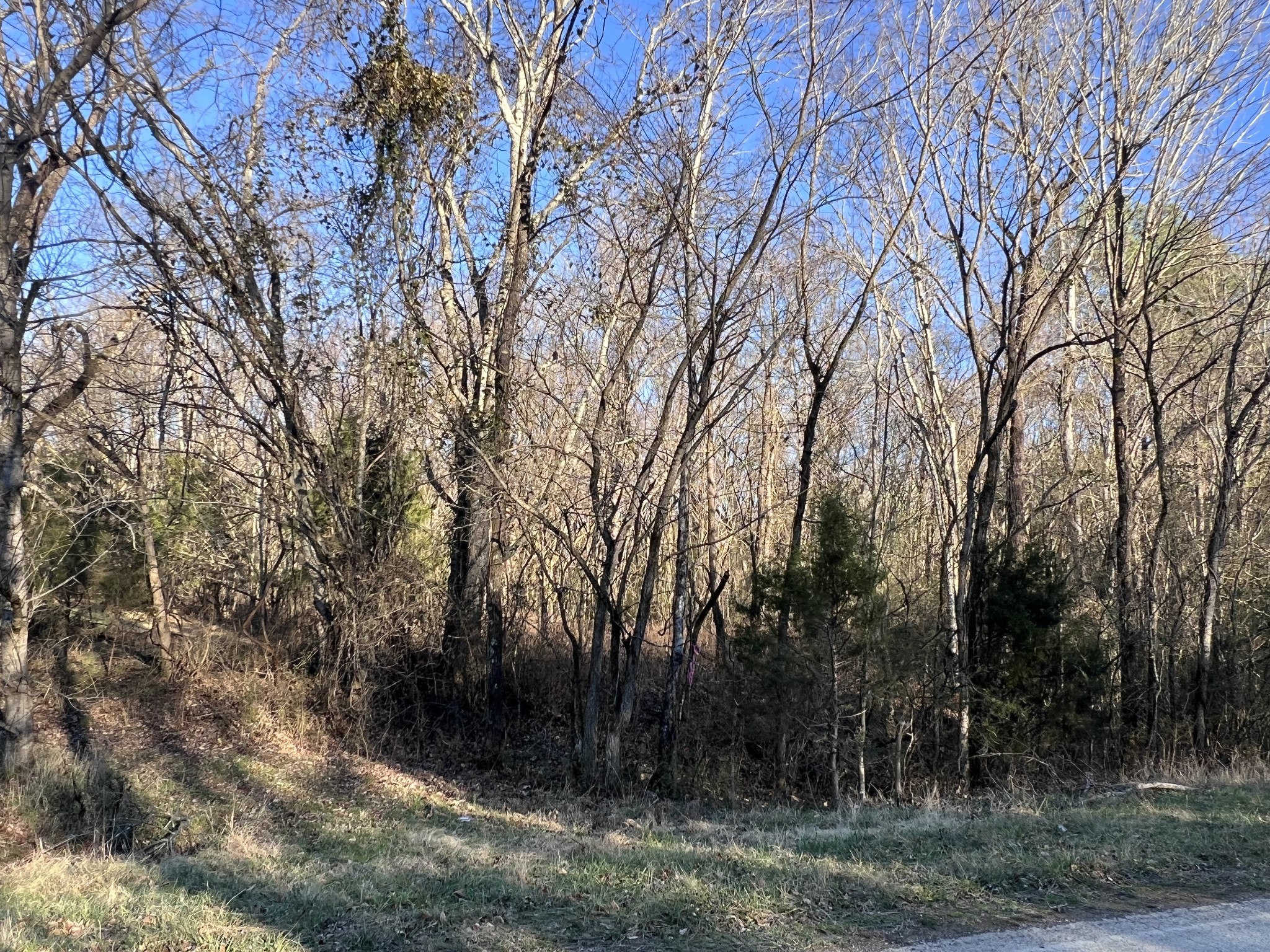 0 She Boss Road Duck River, TN 38454 - Photo 5 of 13