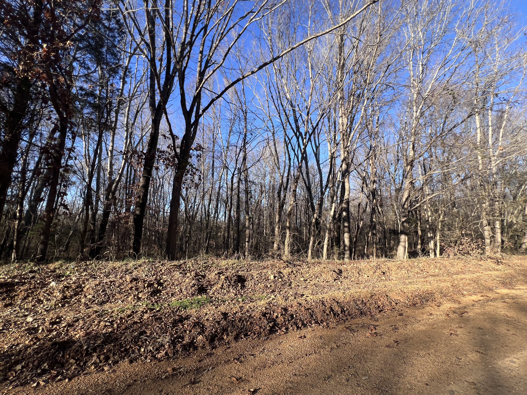 0 She Boss Road Duck River, TN 38454 - Photo 8 of 13