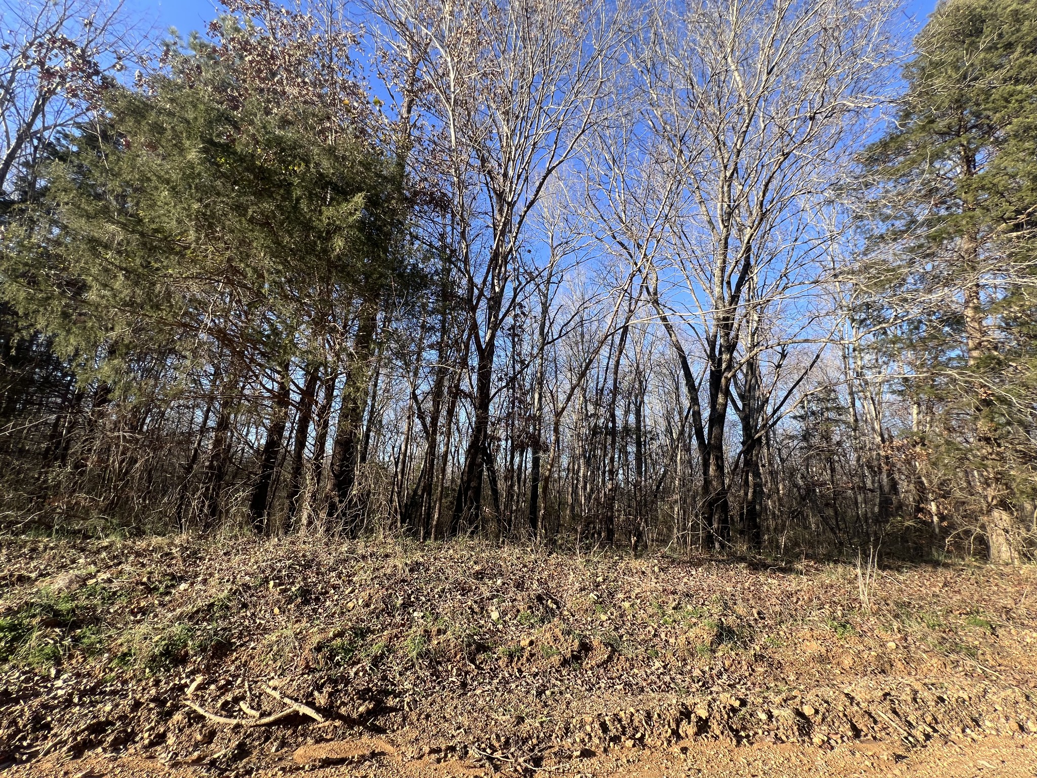 0 She Boss Road Duck River, TN 38454 - Photo 10 of 13