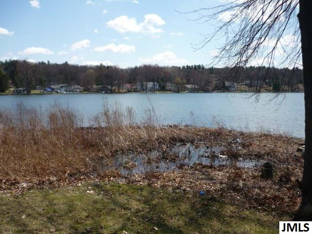 Lot C Donnely Road Jackson, MI 49201 - Photo 1 of 2 Photo 1