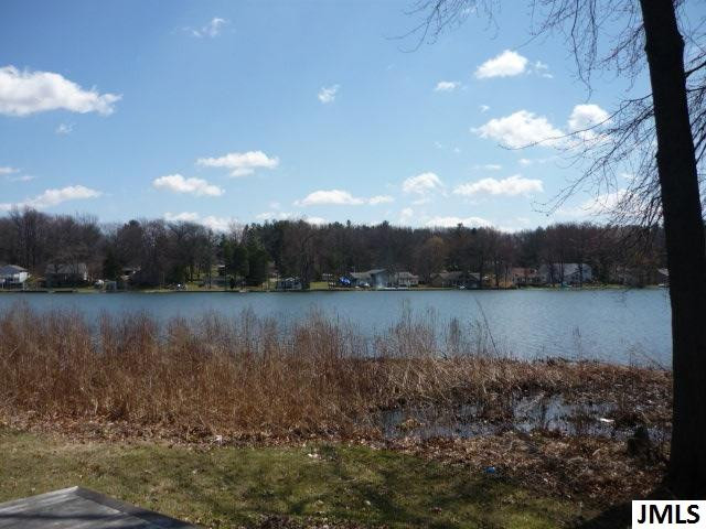 Lot C Donnely Road Jackson, MI 49201 - Photo 2 of 2 Photo 2