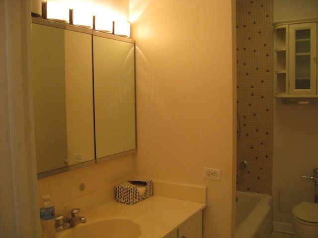 $169,500 | 535 North Michigan Avenue, Unit 1812, Chicago, IL 60611