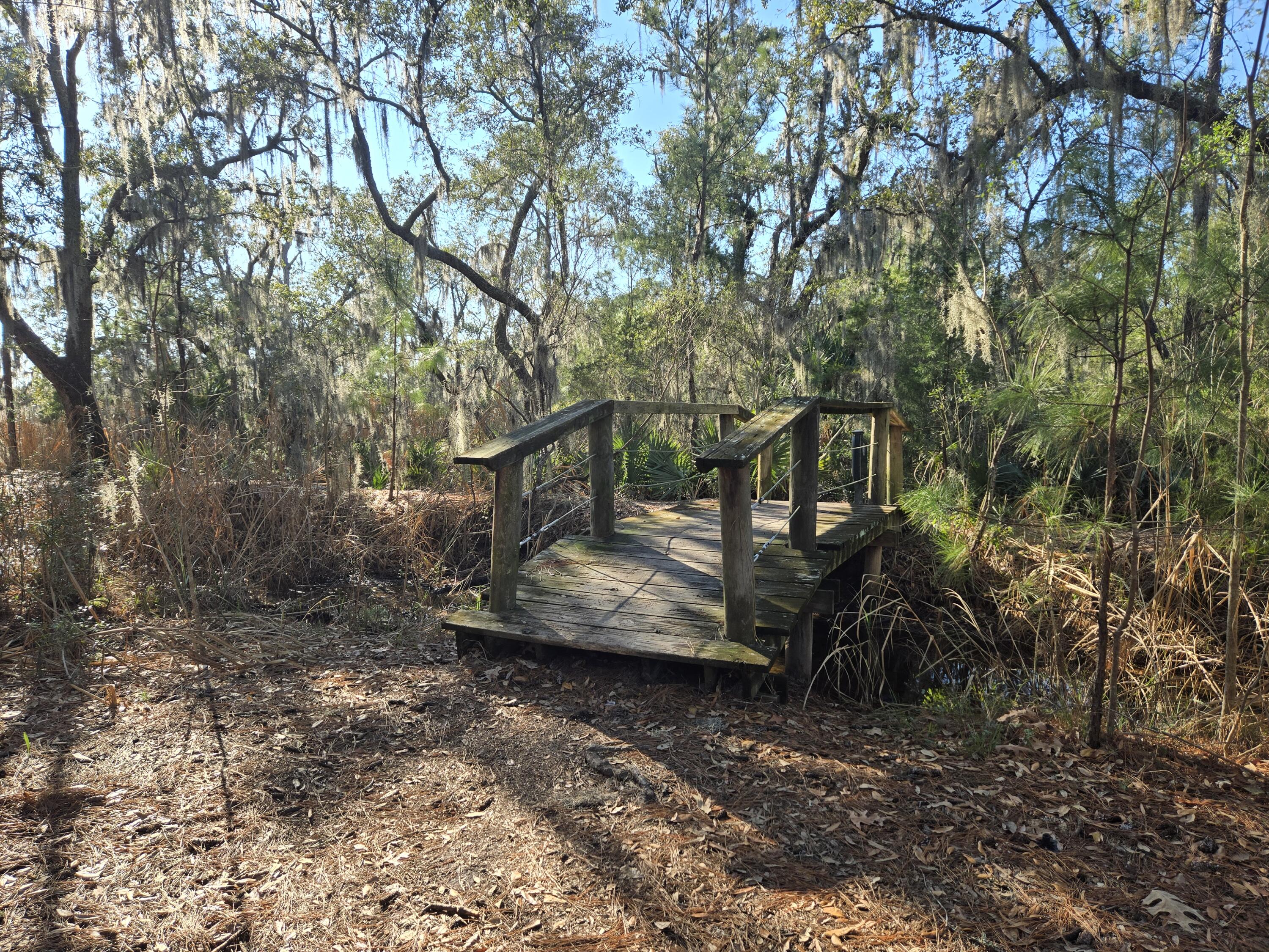 2902 Rutherford Way Charleston, SC 29414 - Photo 53 of 55 20260104_144120