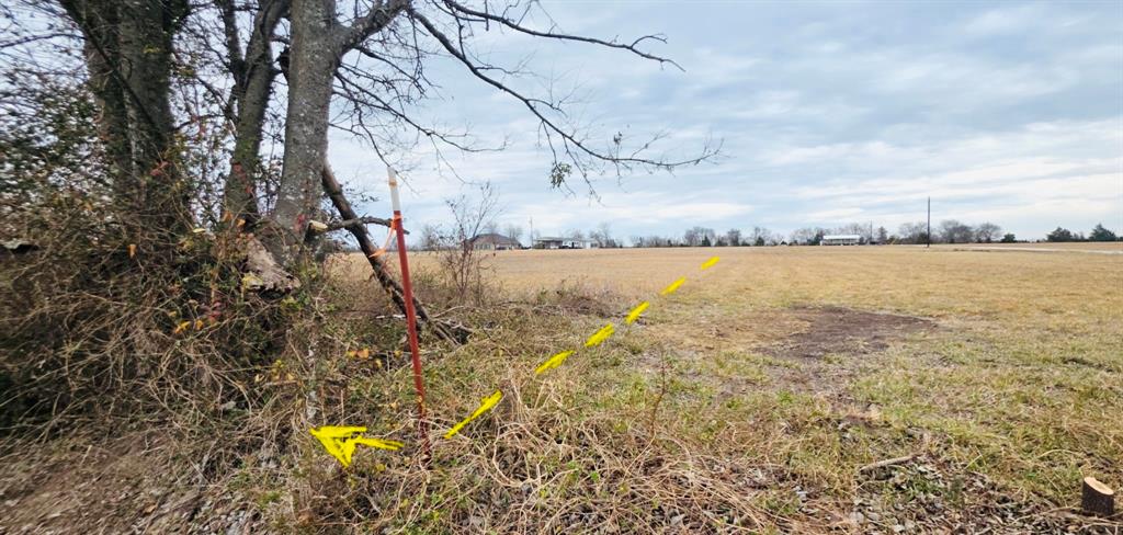 196 S Pattonville, TX 75468 - Photo 4 of 10