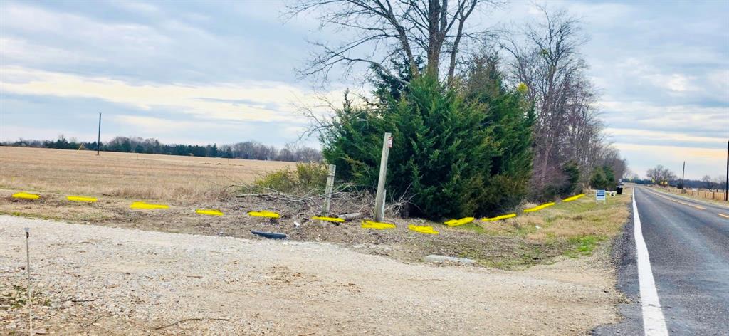 196 S Pattonville, TX 75468 - Photo 5 of 10