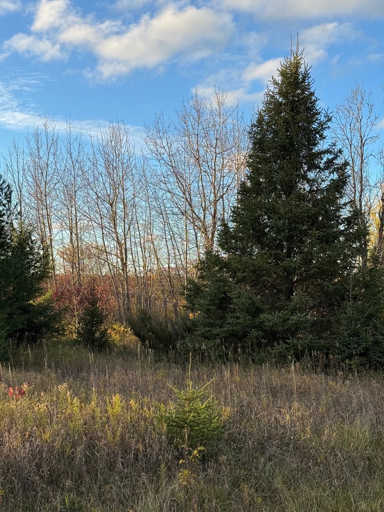 Valley View Trail Sturgeon Bay, WI 54235 - Photo 7 of 12