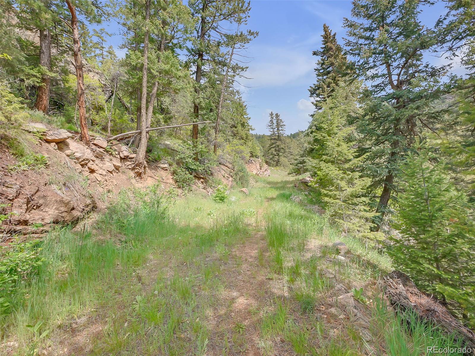 0 Raven Gulch Road Indian Hills, CO 80454 - Photo 13 of 21