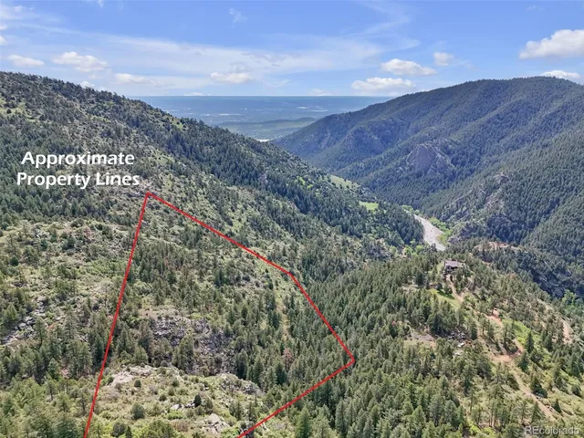 a view of a dry yard with lots of bushes