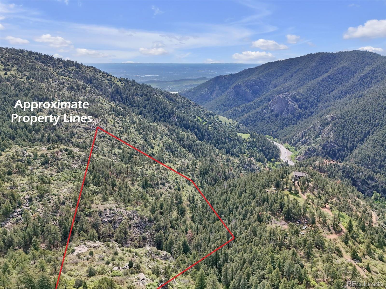 0 Raven Gulch Road Indian Hills, CO 80454 - Photo 15 of 21 a view of a dry yard with lots of bushes