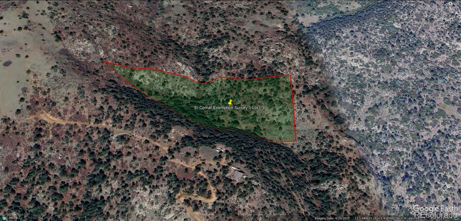 0 Raven Gulch Road Indian Hills, CO 80454 - Photo 18 of 21 a close up of a tree in a garden