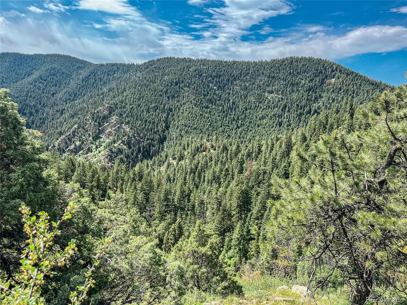 0 Raven Gulch Road Indian Hills, CO 80454 - Photo 7 of 21 a view of a yard
