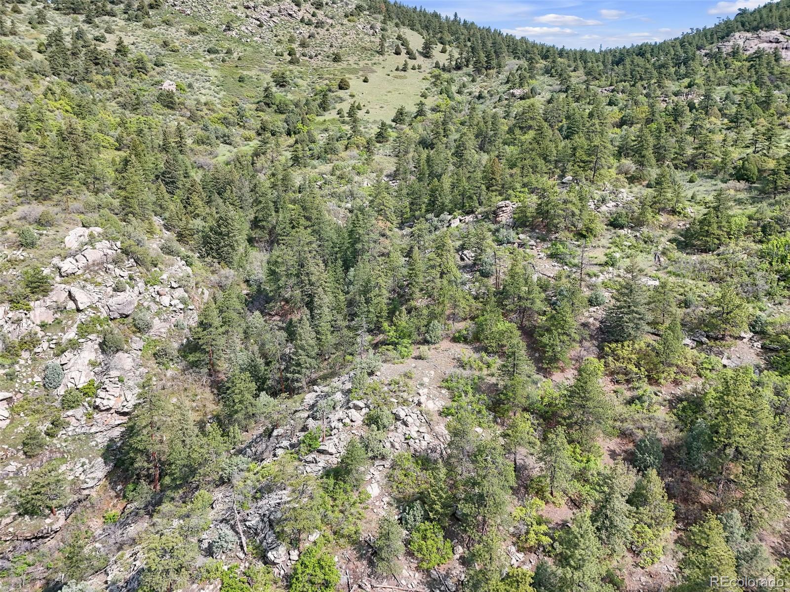 0 Raven Gulch Road Indian Hills, CO 80454 - Photo 10 of 21 a view of a yard