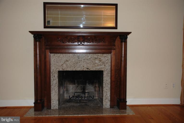 202 Apple Grove Road Silver Spring, MD 20904 - Photo 21 of 27 Living Room