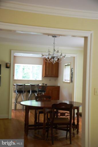 202 Apple Grove Road Silver Spring, MD 20904 - Photo 4 of 27 Kitchen